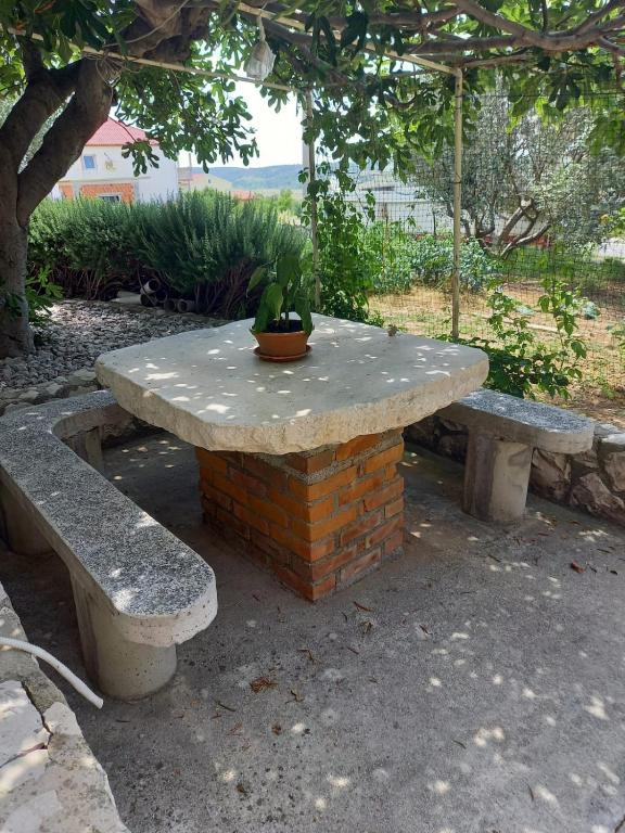 Zahrada ubytování Apartmani Branka