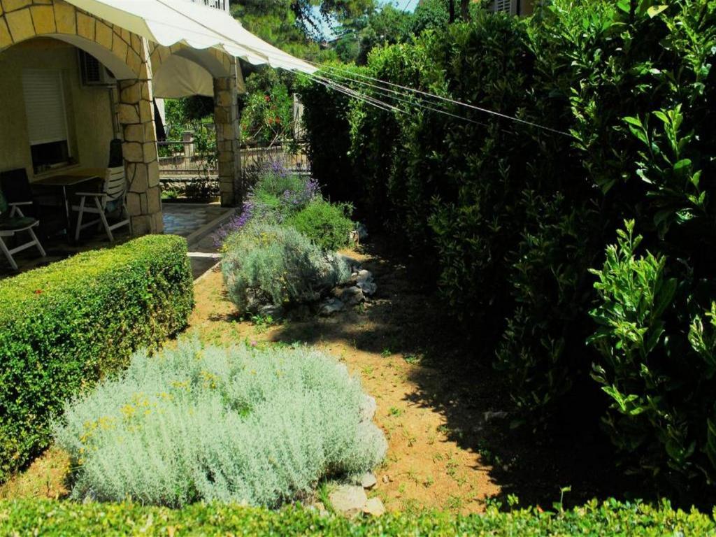 Ogród w obiekcie Apartmani Lucia Biograd