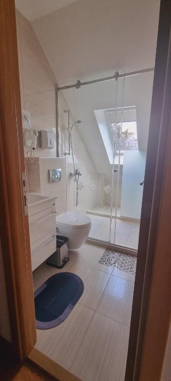 uma casa de banho com um WC e uma cabina de duche em vidro. em Apartman Centar Uroš em Zlatibor
