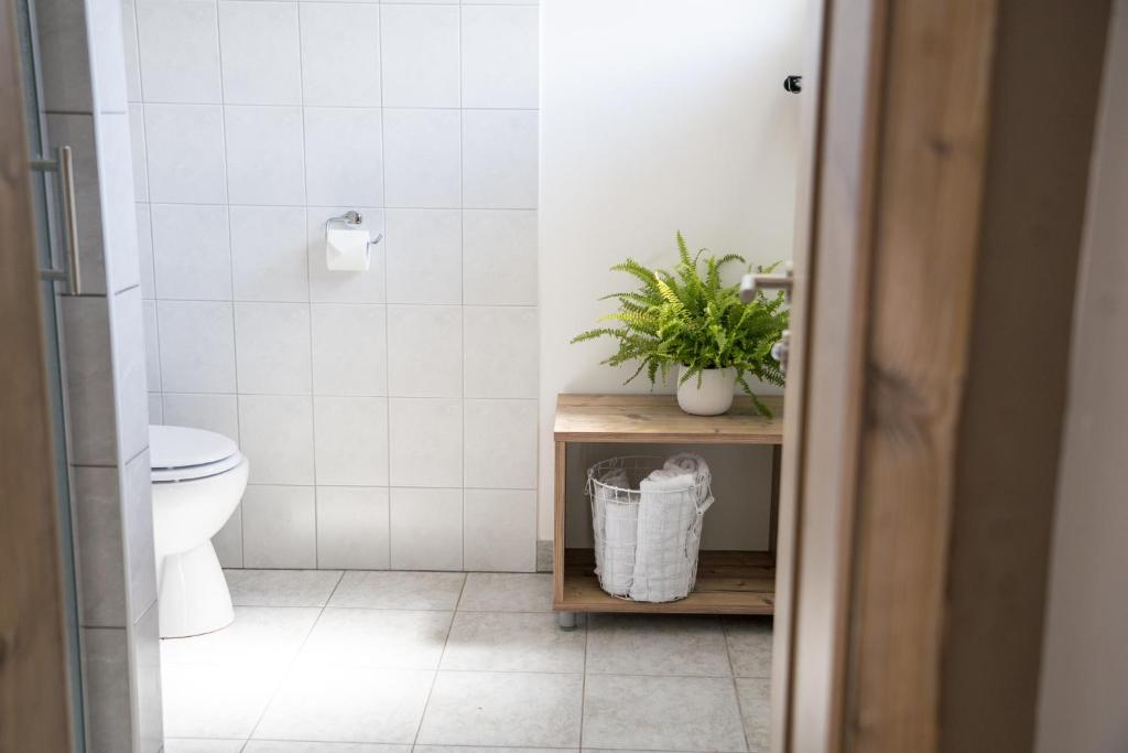 Koupelna v ubytování Hiša Poljana Rooms