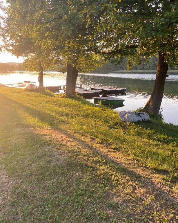 Príroda v okolí dovolenkového domu