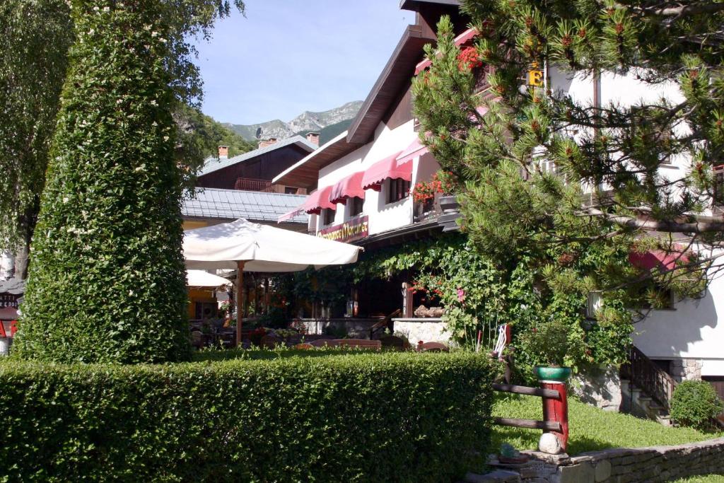 Zahrada ubytování Albergo Martinet