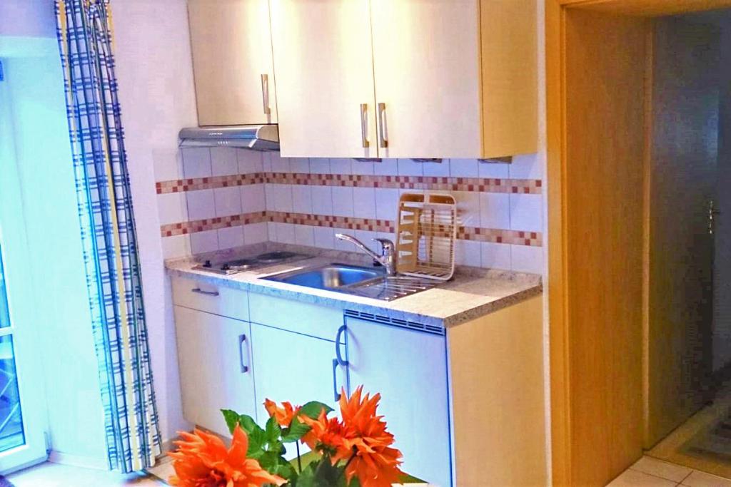 Kuchyň nebo kuchyňský kout v ubytování Gästehaus Koyerbauer Boardinghouse