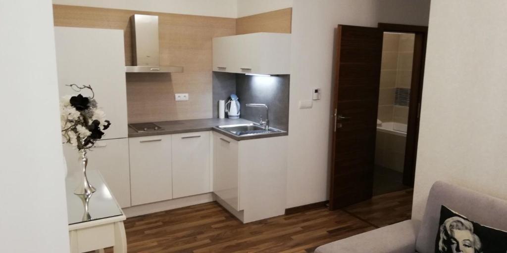 Kuchyň nebo kuchyňský kout v ubytování Oliver apartmán 6