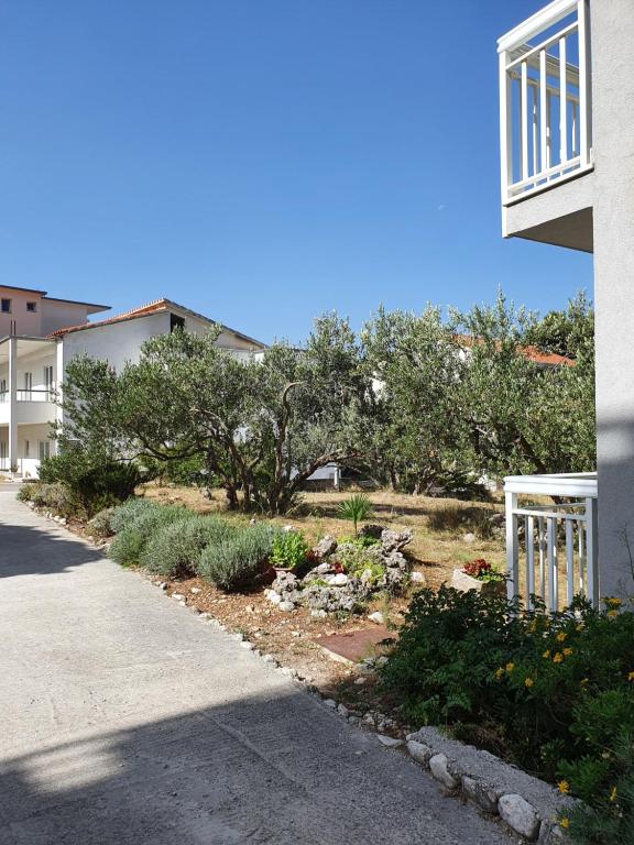 Apartments Ivana - 5