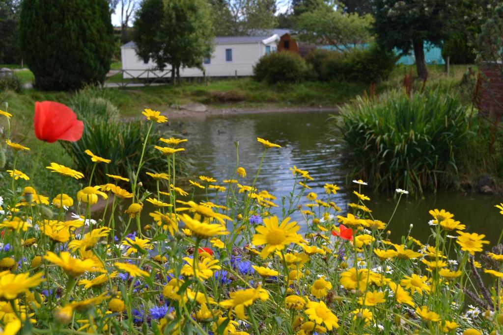 Zahrada ubytování Deeside Holiday Park