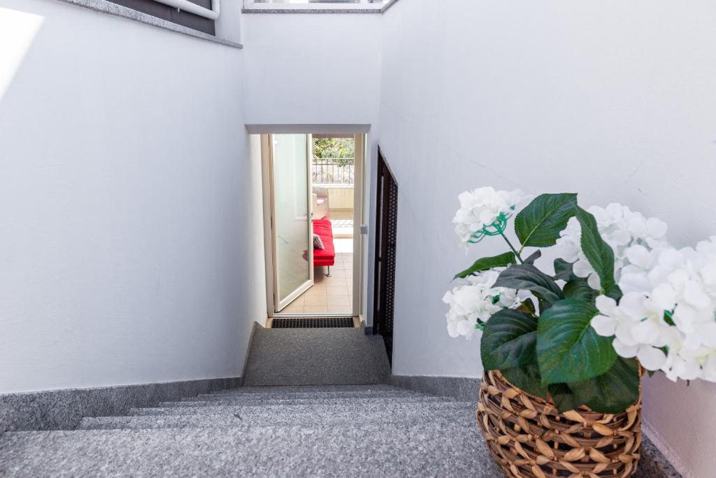 APPARTAMENTI GAIMARO' a 50 m dalla spiaggia - Apartment Mit Meerblick