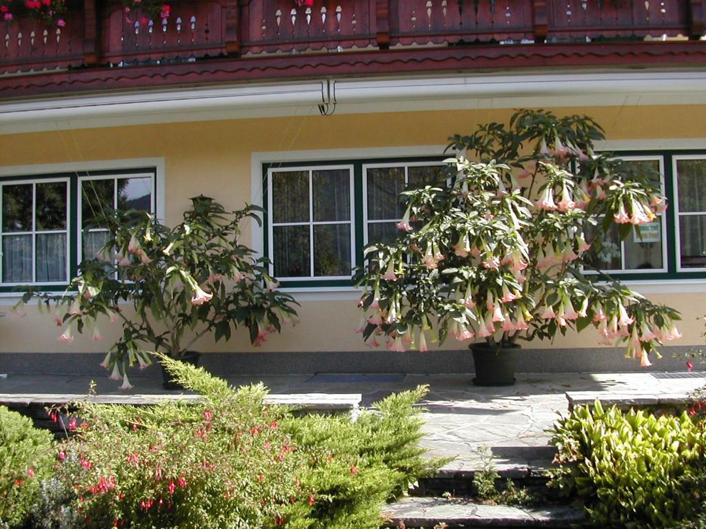 Zahrada ubytování Pension Salzburger Hof
