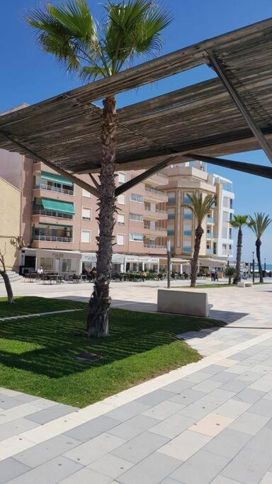 2 Room Apartment Torrelamata Torrevieja Alicante, La Mata ...
