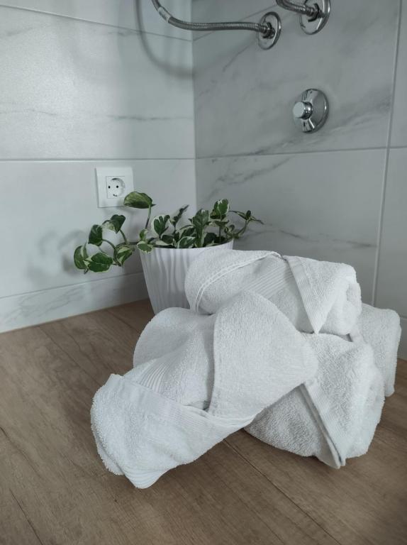 Kúpeľňa v ubytovaní Family Apartment Marton