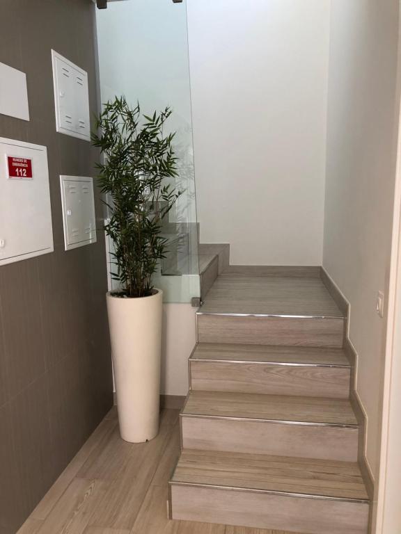 Foto da galeria de Casa da Mondina Comporta em Comporta