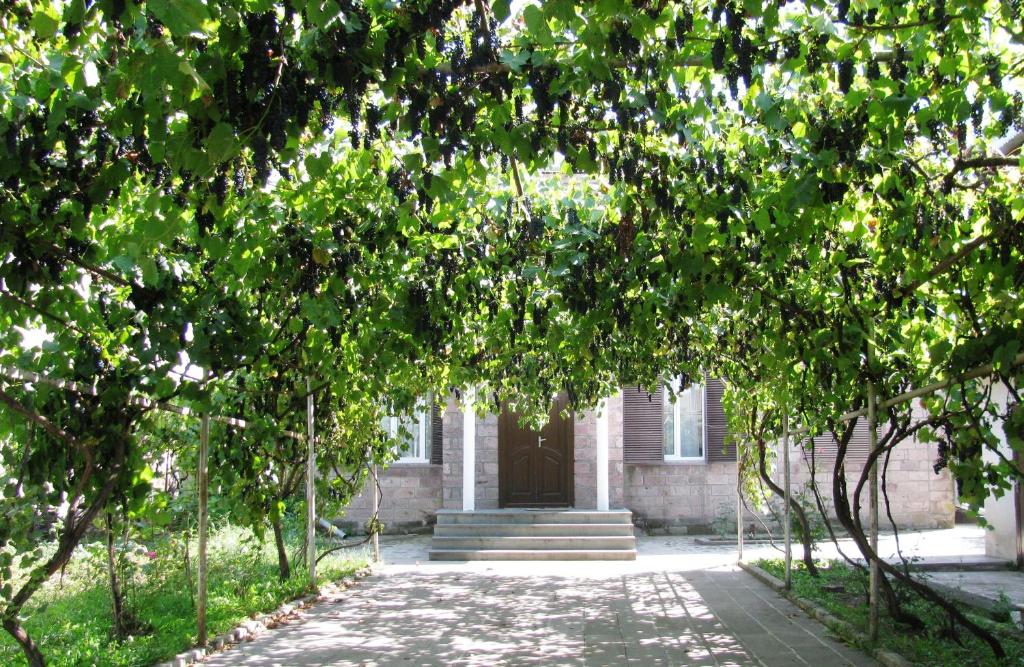 Zahrada ubytování Olimpo Guest House