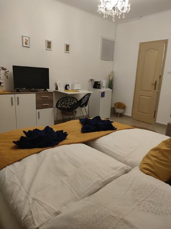 A television and/or entertainment centre at Wagner Apartman Tata