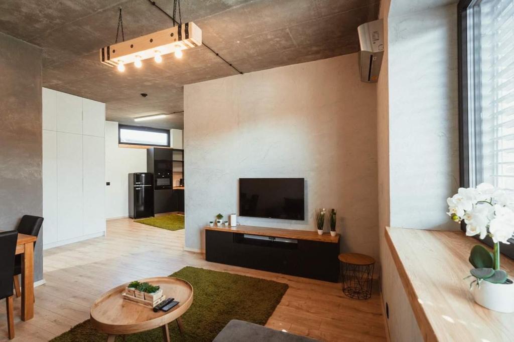 Luxury style apartment - One-Bedroom Apartment