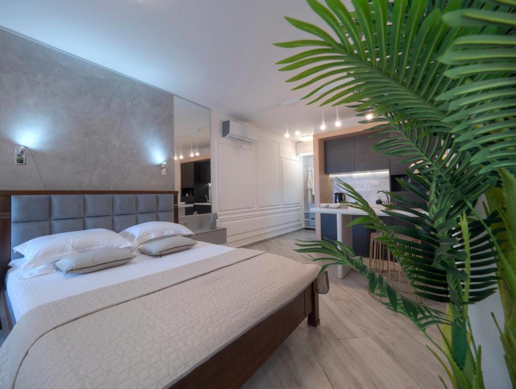 Misisuone Apartments Budva - 4