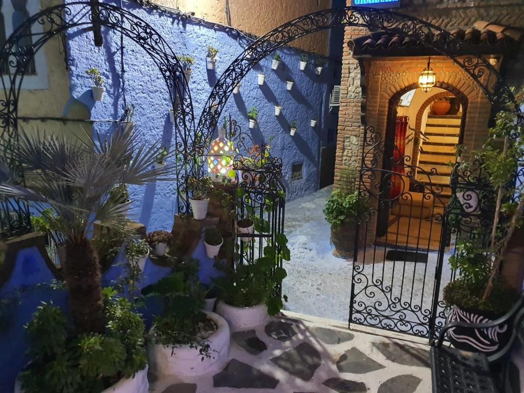 Zahrada ubytování Riad El Palacio & Spa Chaouen