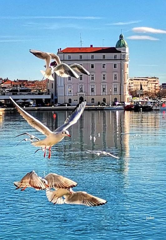 Príroda v okolí apartmánu