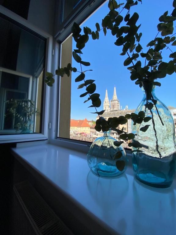 Dois vasos sentados num peitoril de janela com flores. em Apartments DOLAC 1 Zagreb em Zagreb