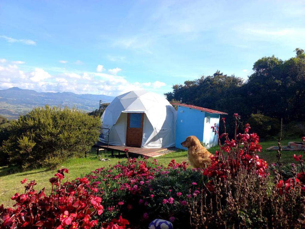 Loodusmaastik of the luxury tent lähedal