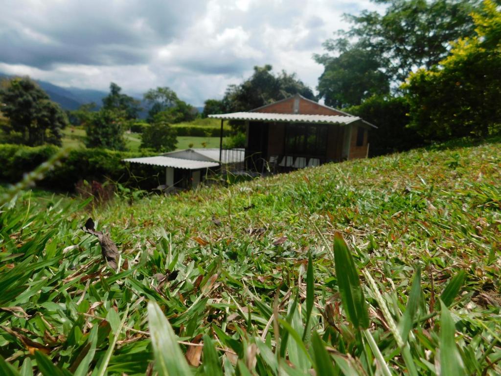 a gazebo in the middle of a grassy field at Casa Campo alojamiento campestre para descanso en Calarcá Quindío in Potosí