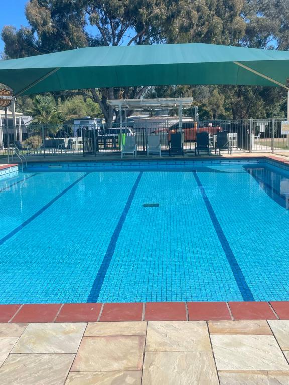 Swimmingpoolen hos eller tæt på Bundalong Riverside Resort
