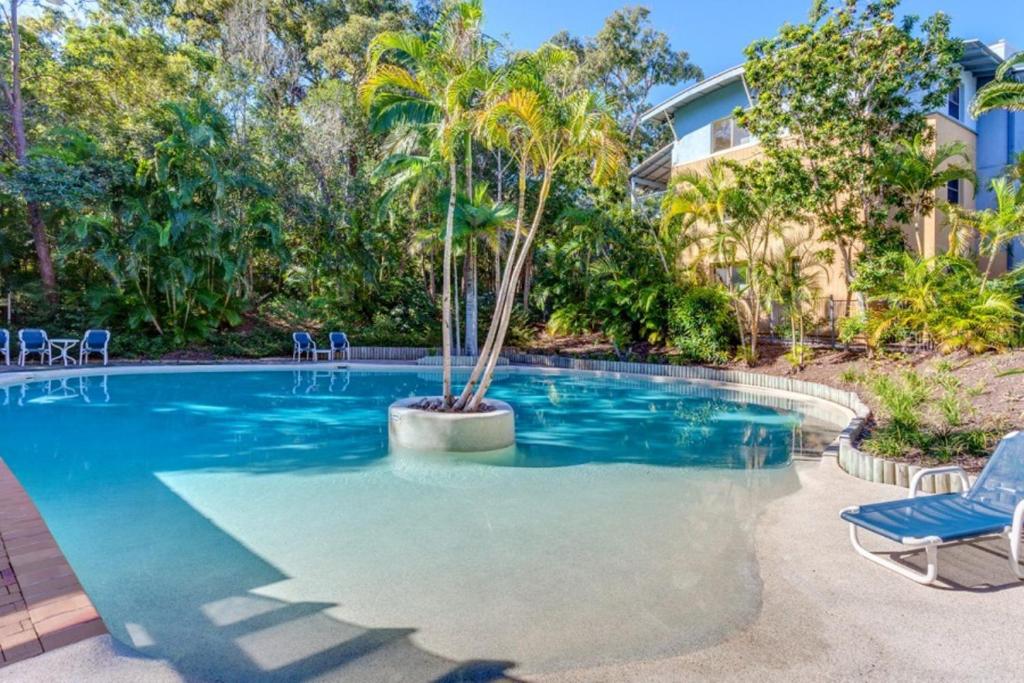 a swimming pool with a palm tree in the middle at Baden 74 Rainbow Shores in Rainbow Beach