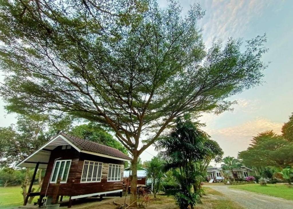 uma pequena casa com uma árvore em frente em ผาผึ้ง Neverland em Ban Wang Krathon (1)