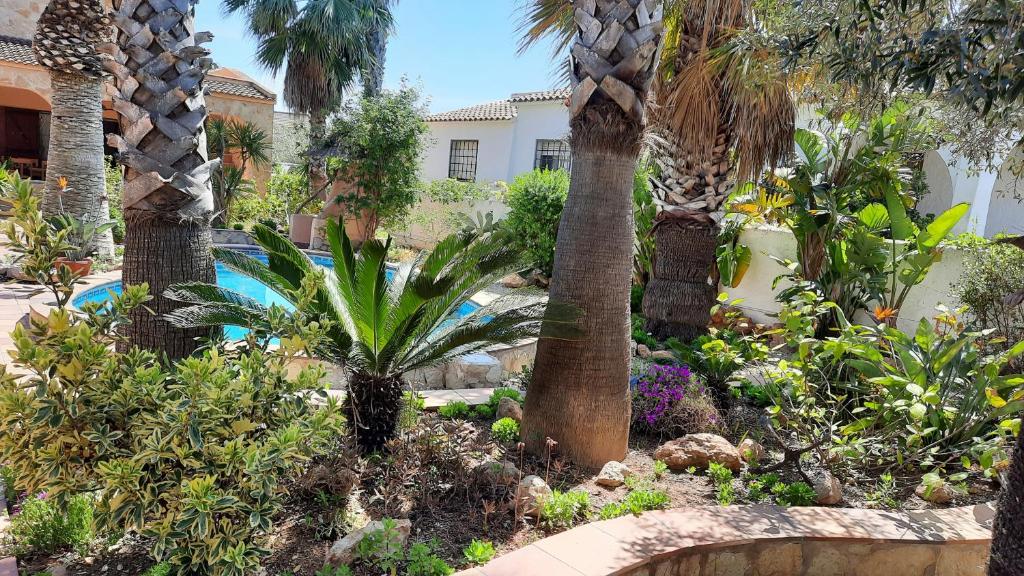 A garden outside Riumar "Pedro", 270m to beach, private pool, On-Site-Service, dog beach