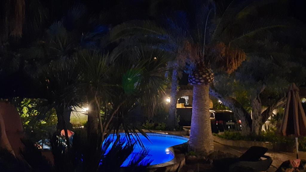 The swimming pool at or close to Riumar "Pedro", 270m to beach, private pool, On-Site-Service, dog beach