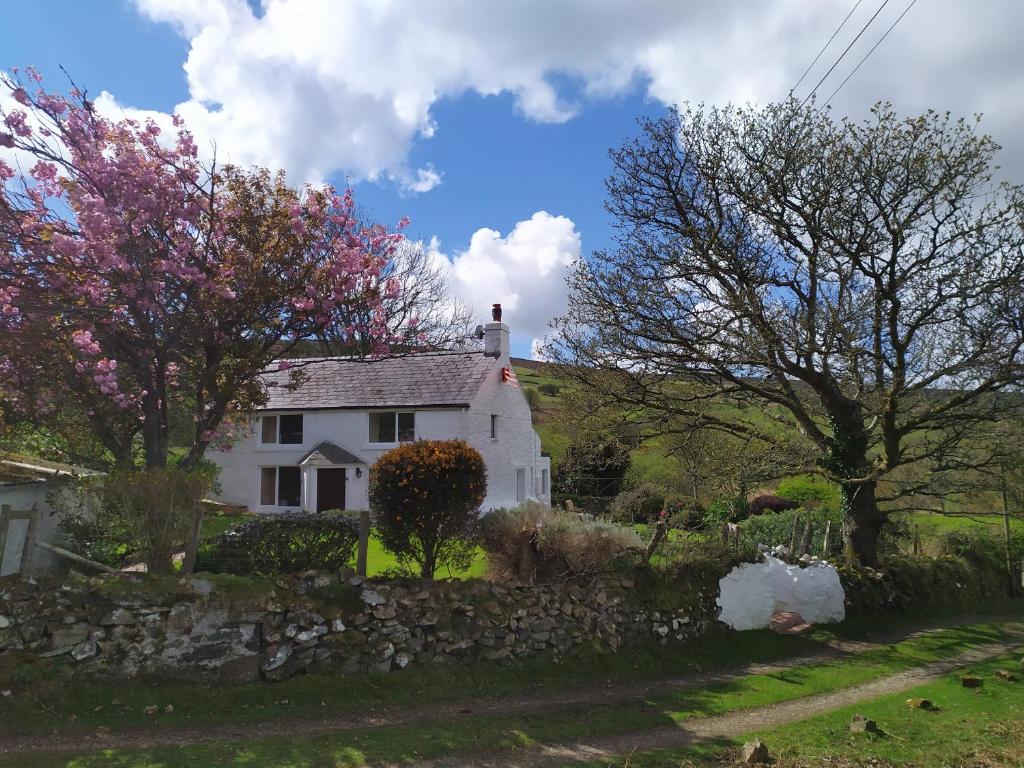 a white house with a stone wall and trees at Penllain in Newport Pembrokeshire