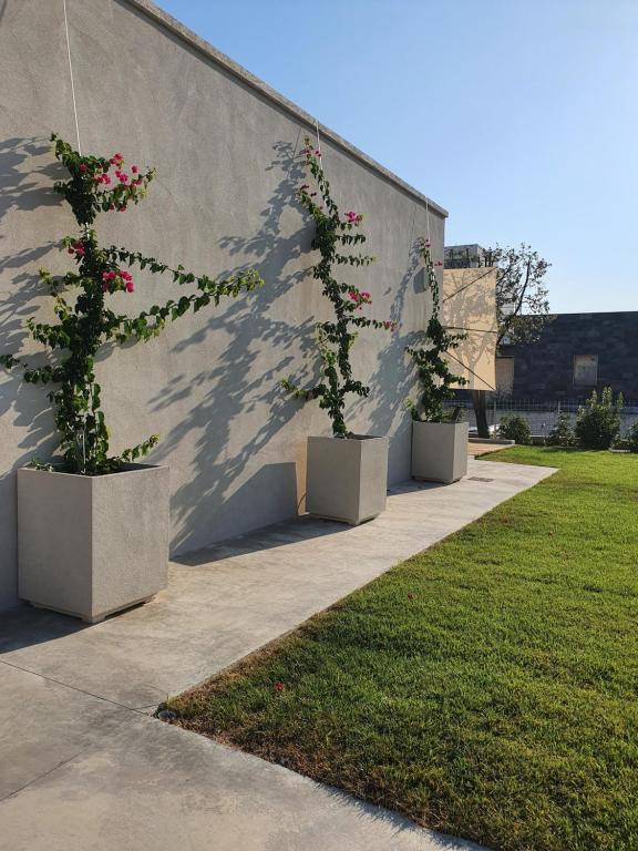 Ogród w obiekcie Casa Lunaria B&B