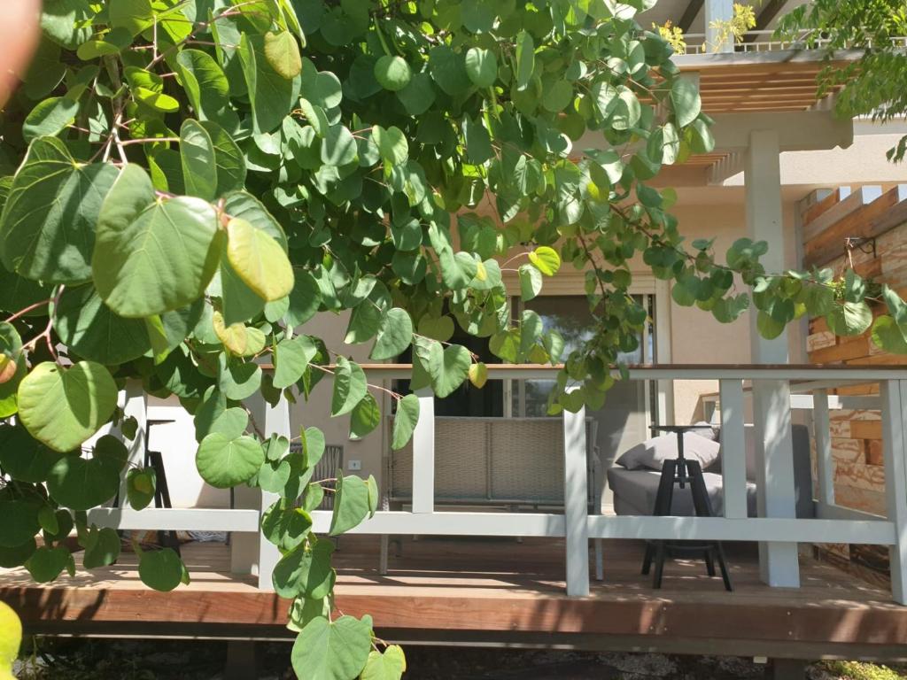 Balkón nebo terasa v ubytování אביב יחידות אירוח
