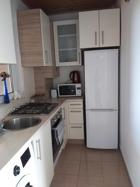 Kuchyňa alebo kuchynka v ubytovaní Nefelejcs Nyaraló-Vendégház