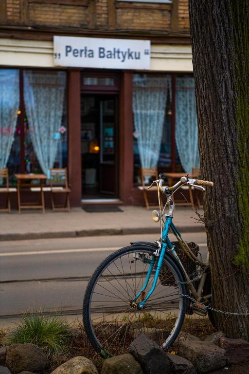 Jazda na bicykli v okolí ubytovania Stylowy apartament w historycznej części Gdańska