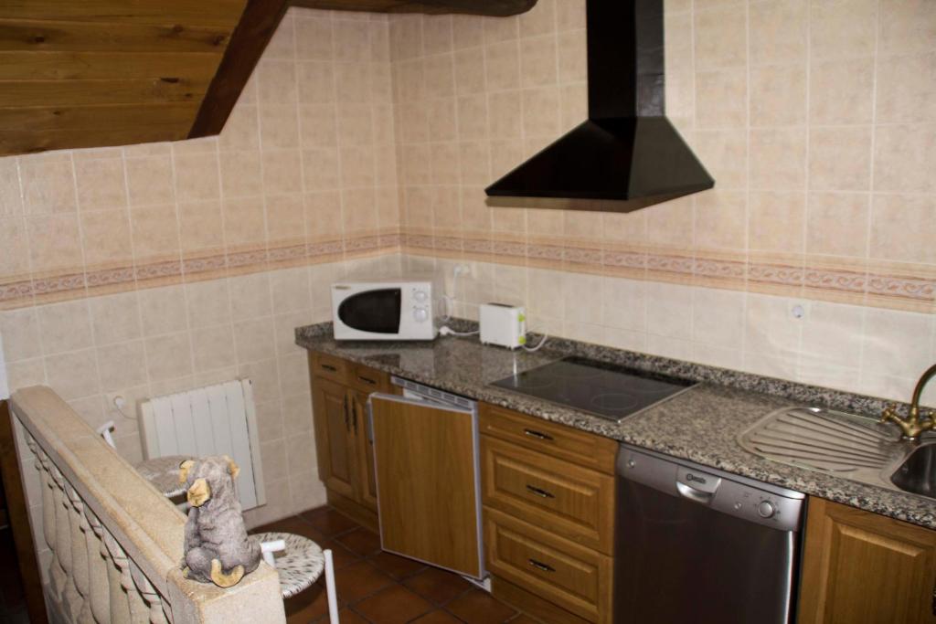 Kuchyň nebo kuchyňský kout v ubytování Viejo Horno