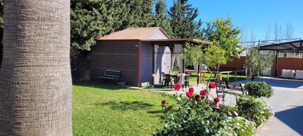 Zahrada ubytování Villa Lina