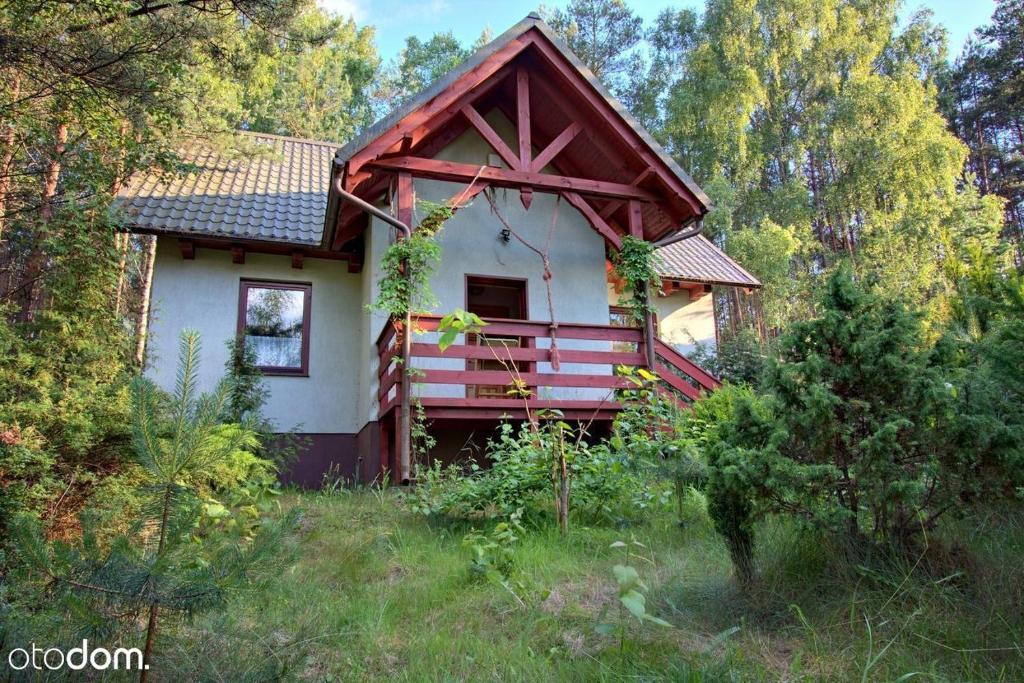 uma pequena casa no meio de uma floresta em Dom całoroczny w Borach Tucholskich em Klocek