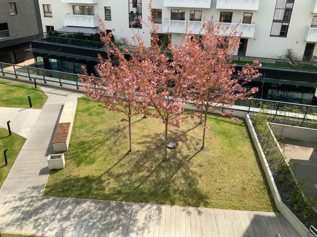Vonkajšia záhrada v ubytovaní Apartment z kominkiem w sercu Wrocławia