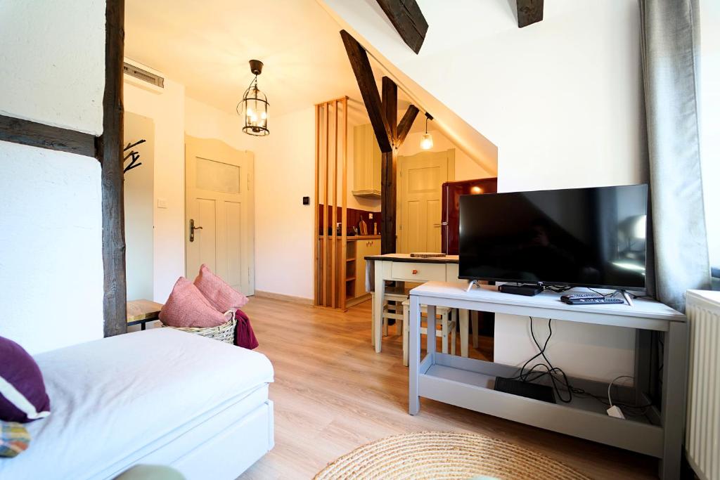 Televízia a/alebo spoločenská miestnosť v ubytovaní Apartamenty EverySky Szklarska Poręba - 1 go Maja 13