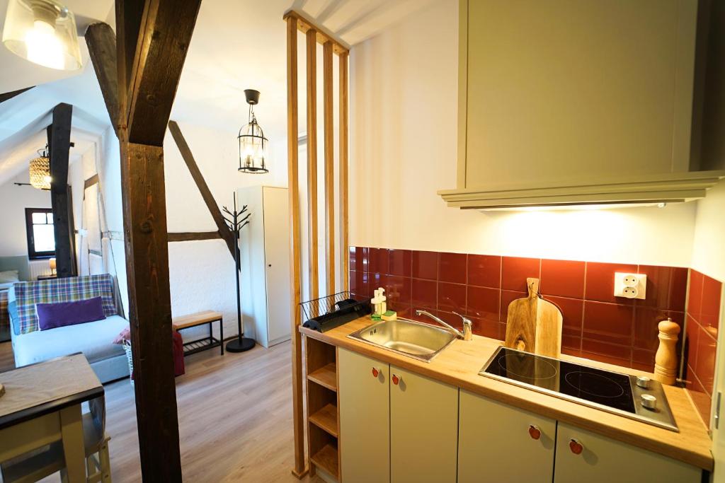 Kuchyňa alebo kuchynka v ubytovaní Apartamenty EverySky Szklarska Poręba - 1 go Maja 13