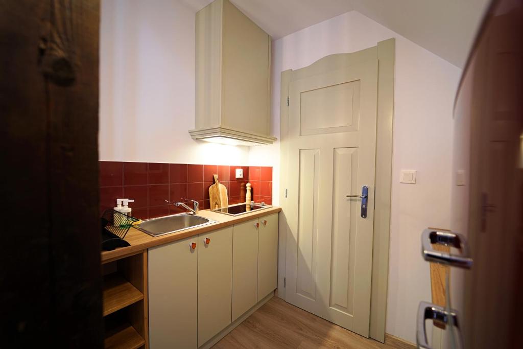 Kuchyňa alebo kuchynka v ubytovaní Apartamenty EverySky Szklarska Poręba - 1 go Maja 13