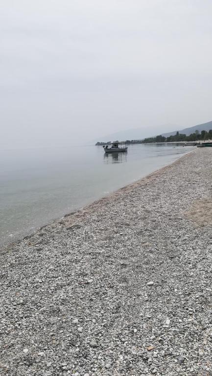 Příroda nedaleko aparthotelu