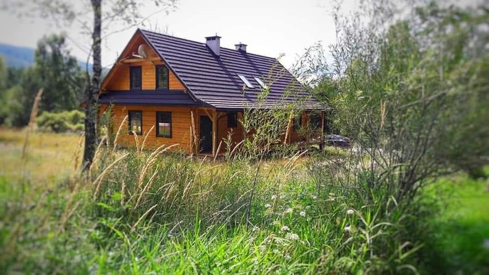 Dom w Bieszczadach في Liszna: منزل خشبي صغير في حقل من العشب الطويل