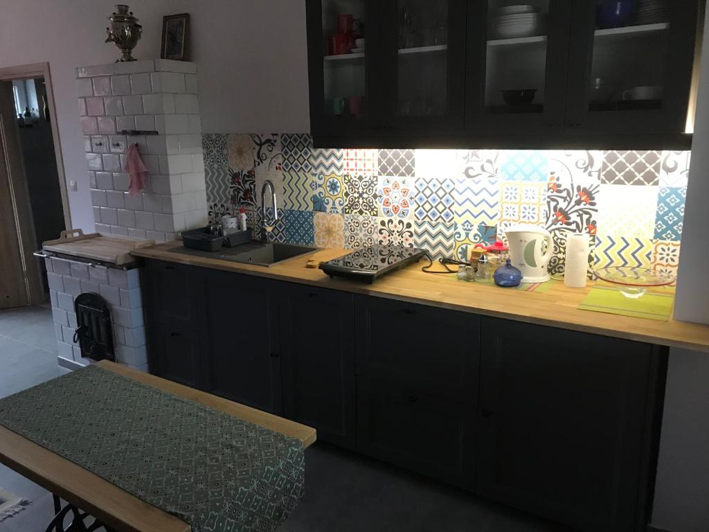 a kitchen with a counter with a sink and a stove at Miodunka1 in Dubicze Osoczne
