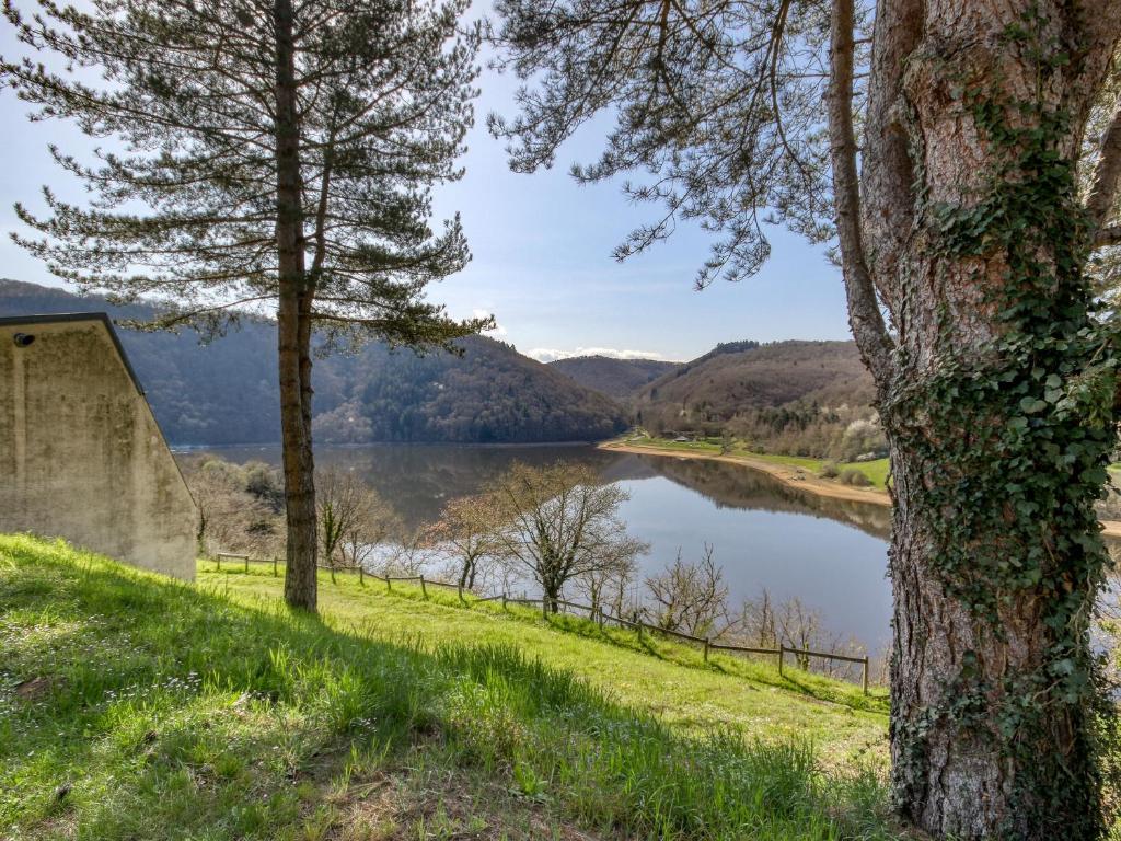 a view of a lake from a hill with trees at Vacancéole - Le Domaine de Confolant in Miremont
