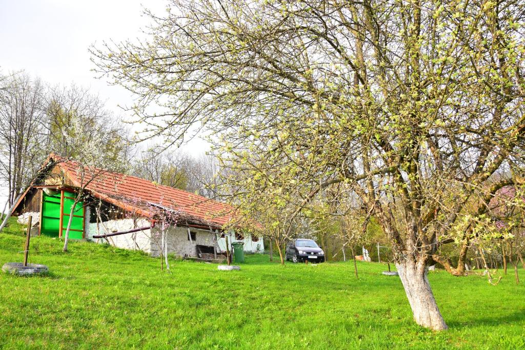 Zahrada ubytování La sălaşul fermecat în Cheile Carasului