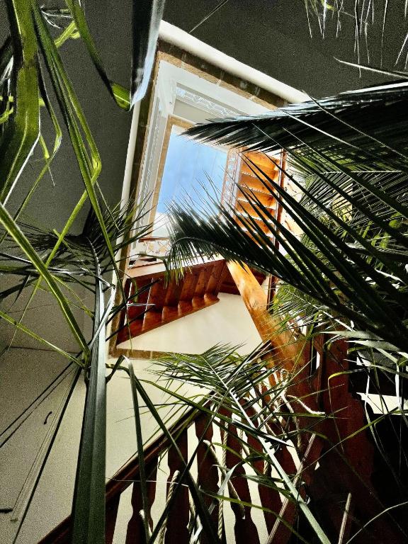Fotografie z fotogalerie ubytování Riad Dar Zayna v destinaci Essaouira