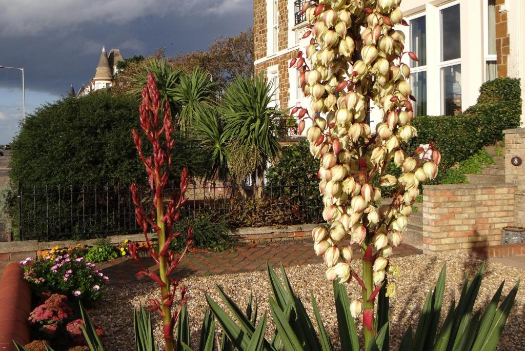 a tall plant in front of a house at The Garden Flat in Hunstanton