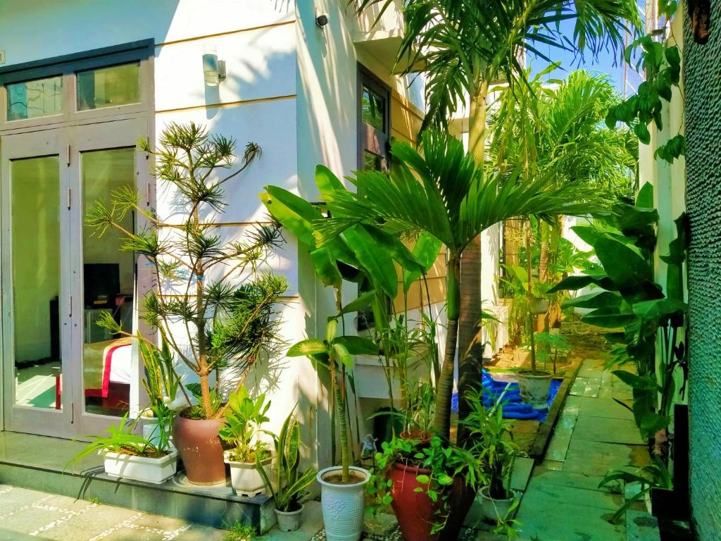 Zahrada ubytování Almond Villa Hoi An