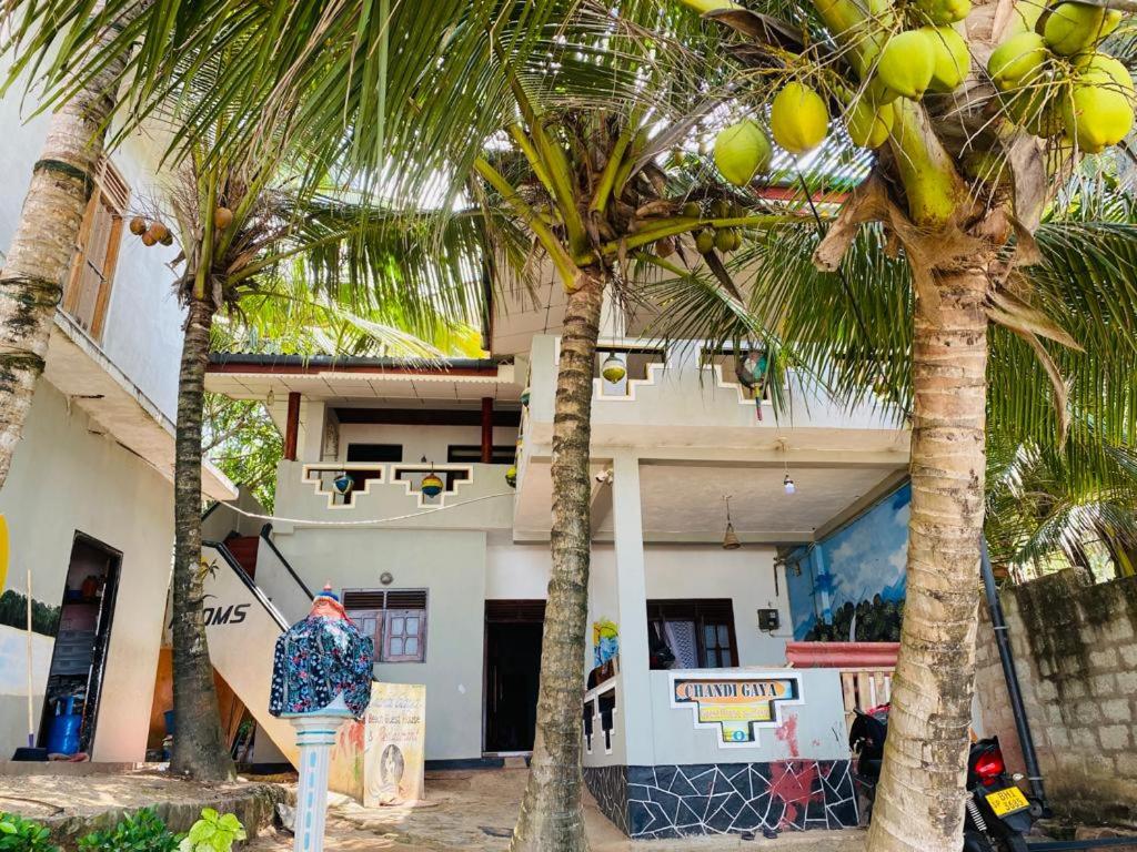 dos palmeras delante de un edificio en Chandi Gaya Beach Guesthouse, en Tangalle